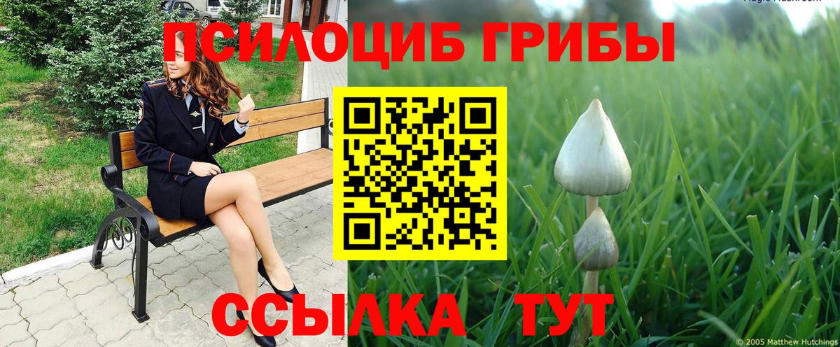 Галлюциногенные грибы MAGIC MUSHROOMS  Вход с VPN  Галлюциногенные грибы Cubensis  Славянск-на-Кубани 