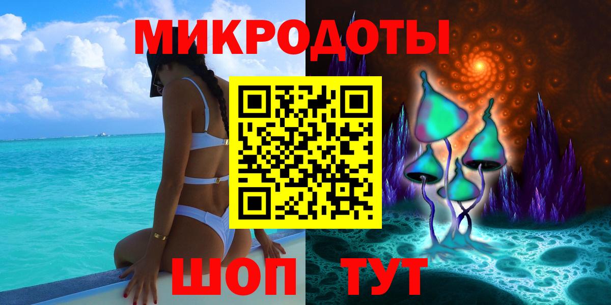 Галлюциногенные грибы Psilocybe Славянск-на-Кубани