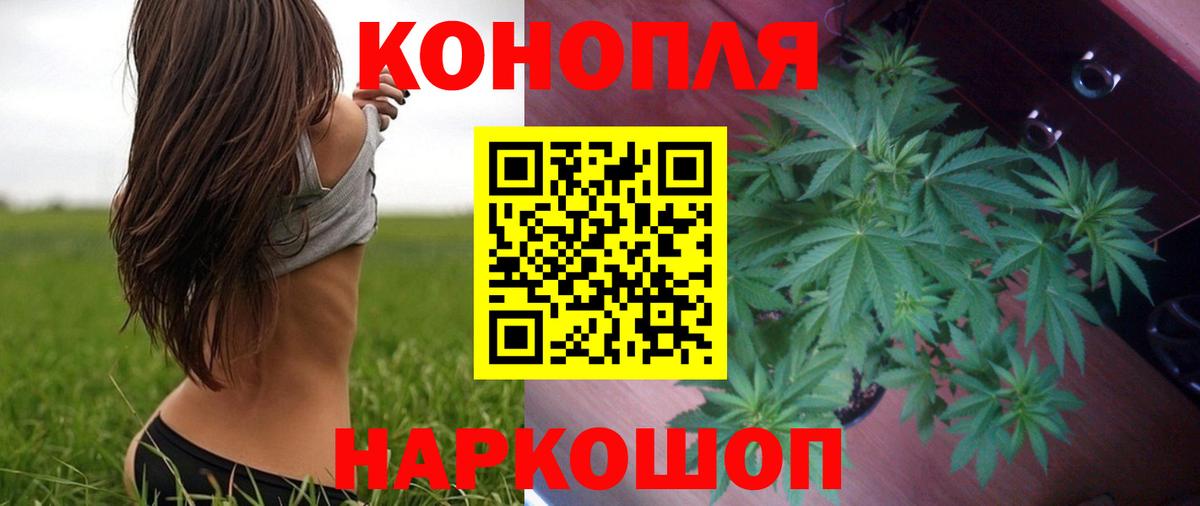 Канабис AK-47  Марихуана ГИДРОПОН  Бошки марихуана Ganja  Славянск-на-Кубани  МАРИХУАНА индика  Вход с VPN 
